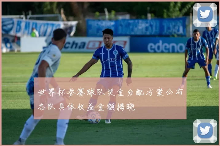 世界杯参赛球队奖金分配方案公布各队具体收益金额揭晓