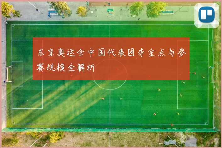 东京奥运会中国代表团夺金点与参赛规模全解析