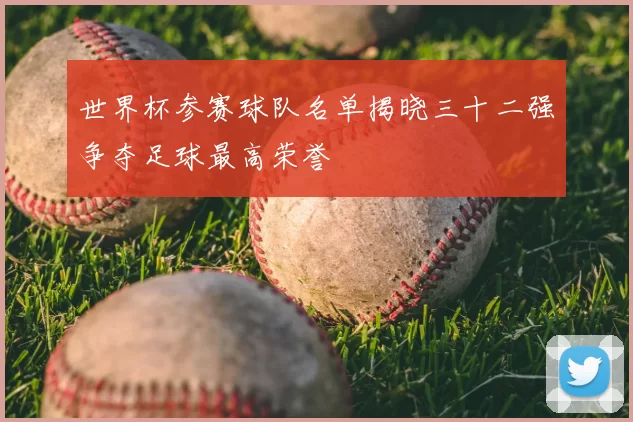 世界杯参赛球队名单揭晓三十二强争夺足球最高荣誉