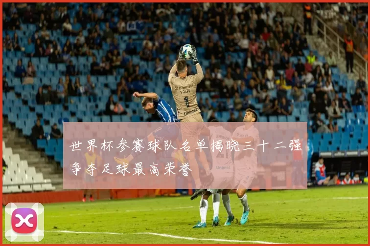 世界杯参赛球队名单揭晓三十二强争夺足球最高荣誉