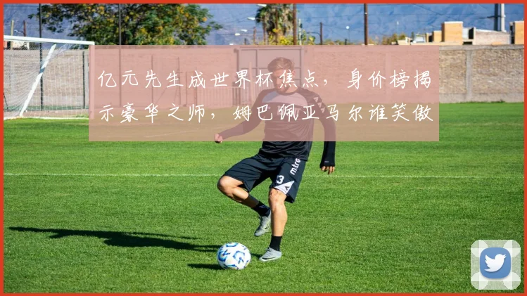 亿元先生成世界杯焦点，身价榜揭示豪华之师，姆巴佩亚马尔谁笑傲